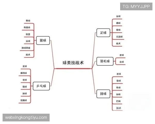 图解篮球界外发球规则，新手5分钟学会正确流程